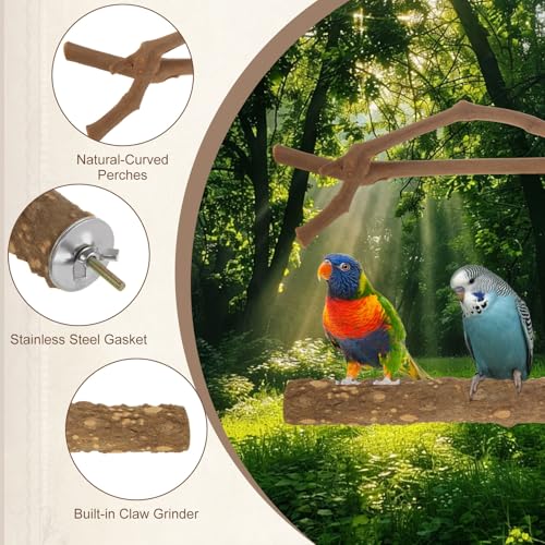 Image of 6PCS Bird Perch Natural Wood Grape Stick Bird Stand, 4 Grape Stick Paw Grinding Fork Parakeet Chewing Stick 2 Parrot Stand Branch