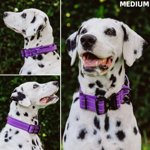 Image of Tuff Pupper Tactical Dog Collar | Heavy Duty 1.5 inch Wide Ballistic Nylon | Training Control Handle | Quick-Release Metal Buckle | Reflective Bands | ID Tag Holder | Padded Inner Lining (Purple, Medium)