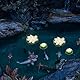 Seerosen Künstlich5 STK Künstliche Lotusblume Schwimmende Teichdekoration Seerose Ornament für Gartenterrasse Pool Aquarium Dekoration (Weiß)