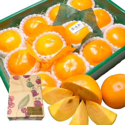 ޗǌY, xL` `, pϔ, r^~CLx, Mtg, v[g (3LTCYi12j)