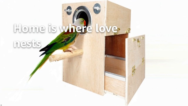 Amazon.com : kathson Parakeet Nesting Box Wooden Bird Breeding