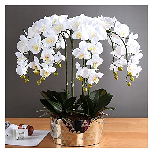 Flores artificiales con macetas, flores artificiales de seda Phalaenopsis, orquídeas de plástico de 6 cabezas, utilizadas para decoración floral en el hogar (color: blanco)
