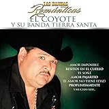  Bandas Romanticas