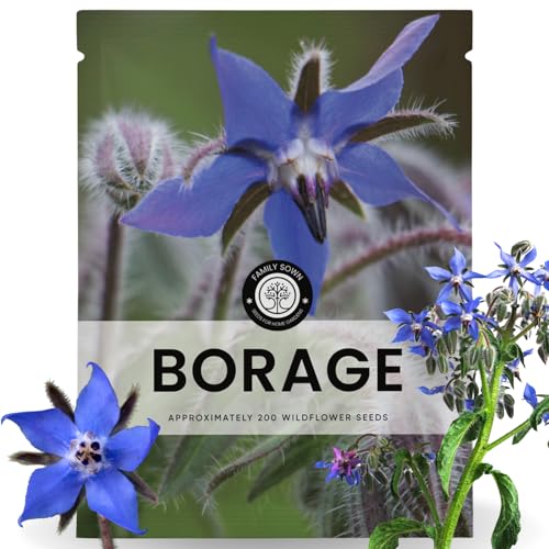 Borage 200 Seeds for Planting 2026 Season 5 Gram Pouch