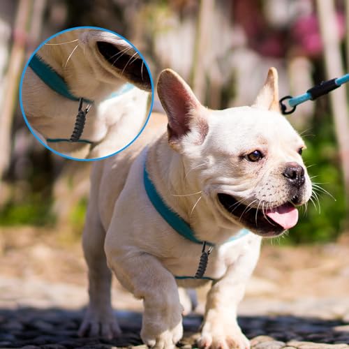 Maxqzin Sicherheitsclip für Hundeleine, Hundegeschirr Anschnallgurt Hund Auto 18 cm Schwarz Hundeanschnaller für Auto Doppelendiger Kurze Hundeleine mit Metallring für Hundewelpen Lauftraining
