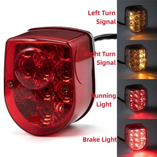 Freno y luz trasera de 12V con intermitente para Monkey 2