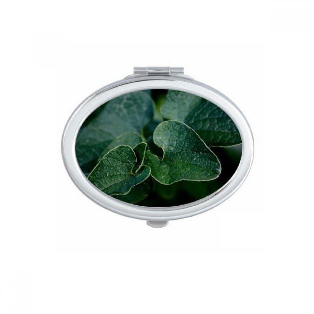 Miroir compact portable de voyage pour rester fraîche en déplacement avec décor nature