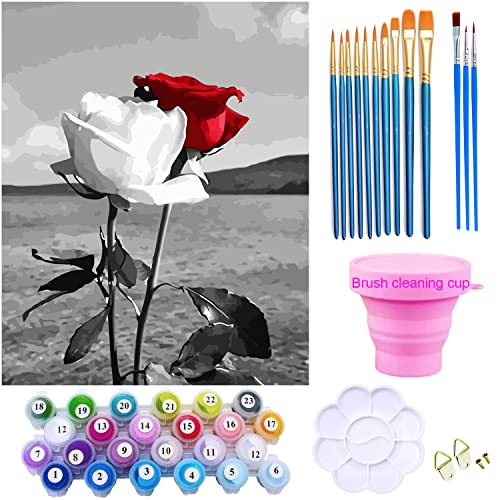 SHUIBIAN Pintura por números, para adultos, niños, pintados a mano, kit de pintura al óleo, regalo para decoración de pared, hogar, rosa, flor, 40 x 50 cm (sin marco) Cover