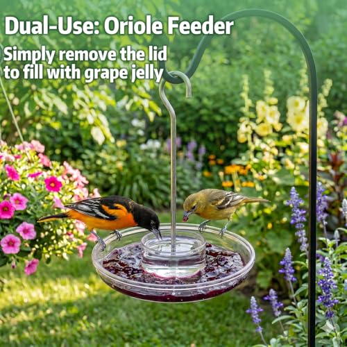 Image of Kingsyard 2 Pack 16 OZ Disc Hummingbird Feeders for Outdoors Hanging, 6 Bee Proof Feeding Ports Leak-Proof Humming Nectar Bird Feeder, Ant Moat Easy Clean, Jelly Oriole Feeders, Garden Decor Gifts