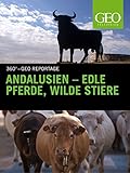 andalusier huhn  Andalusien - Edle Pferde, wilde Stiere