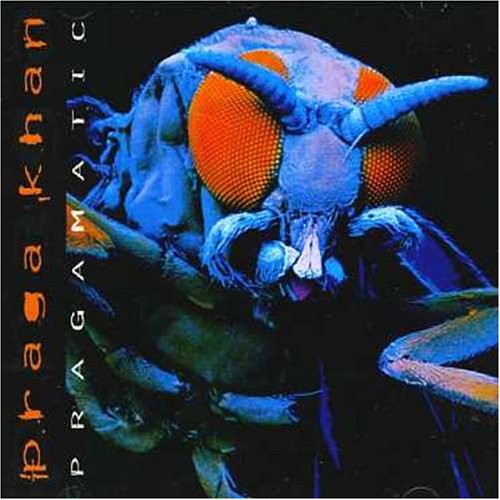Pragamatic