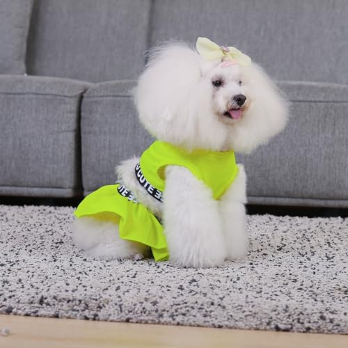 Image of CuteBone Two Piece Dog Sports Dress Athleisure Puppy Fluorescent Green Skirt Lightweight Small Dogs Girl Clothes Cat Apparel SPS07S