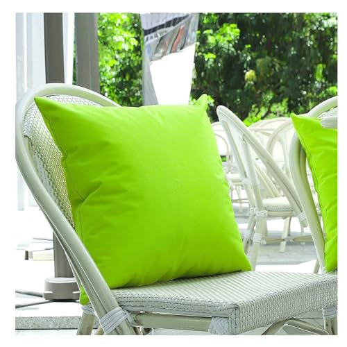 2�Z�b�g ���O�p�h���N�b�V�����J�o�[ - �\�t�@�E�K�[�f���x���`�E�|�[�`�p�f�R���e�B�u�Ƌ�P�[�X(�t���[�c�O���[��,50x50cm(Set of 2))