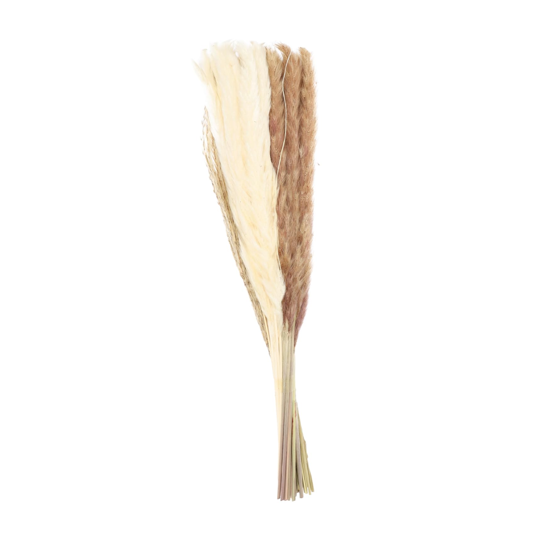 Zerodeko 2 pack Immortal Bouquet Wedding Decorations for Ceremony Dried Reed for Home White Bouquet Home Decor Brown Italian Decor Dried Plant Decoration House Decor Natural Set
