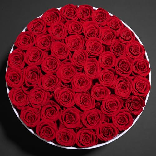 50 Piece Roses in a Velvet Box, Flowers for Delivery, Presereved Flowers Birthday Gifts for Women Mom and Wife (Red) - Image 6