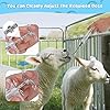 GINDOOR-2-Pieces-Reusable-Goats-Syringe-with-2-Drench-Nozzle-Adjustable-Dosage-Detachable-Sheep-Drench-Livestock-Syringe-for-Sheep-Baby-Goat-Supplies-20ML Goat Syringe Set