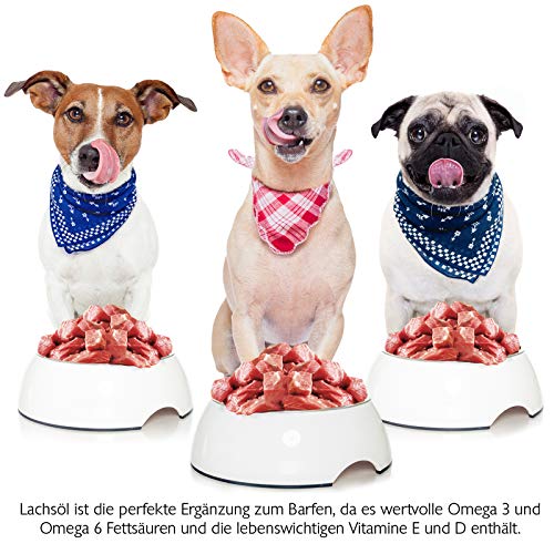 1 Liter Lachsöl für Tiere, Lachsöl für Hunde und Katzen, Barf Öl Hund, Fischöl für Hunde, Naturprodukt