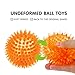 SHARLOVY Squeaky Balls for Pet Small Puppy, TPR Fetch Spike Balls for Dogs, Rubber 6 Pack Bright Colors Chew Teething Dog Toys