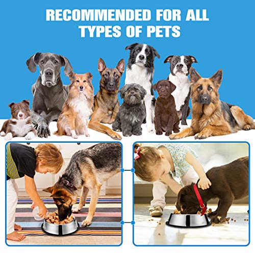 Rxyia Dog Bowl Stainless Steel Dog Bowl with Rubber Base for Small/Medium/Large Dogs,Kittens (Set of 2) (40oz) - Image 8