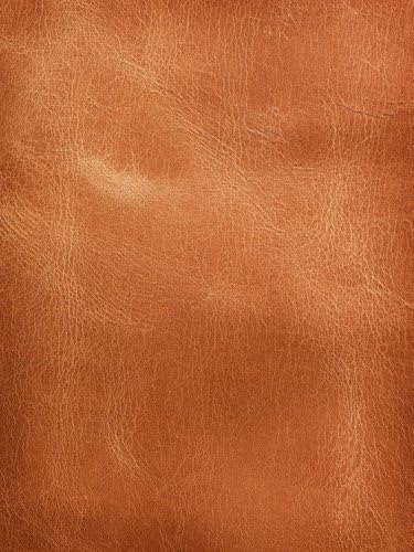 Leather Premium Fragrance Oil, 16 Oz. Bottle