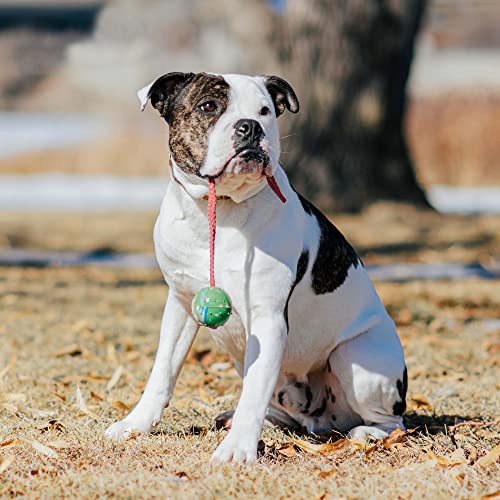 Sprenger Hundespielzeug Gummiball mit Seil I Zerrspielzeug oder Wurfspielzeug mit Schnur, robuster Ball für Hunde, Ø 75mm