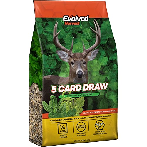 Evolved 5 Card Draw Seed 10 lb.