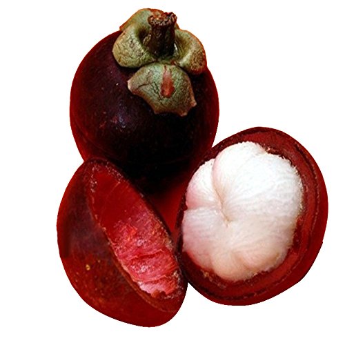 Futaba Organic Tropical Mangosteen Seeds - 10 Pcs (B073YPDJXW) Amazon Price History, Amazon Price Tracker