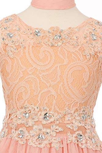 Sleeveless Rhinestones Lace Pageant Easter Graduation Flower Girl Dress 4-202