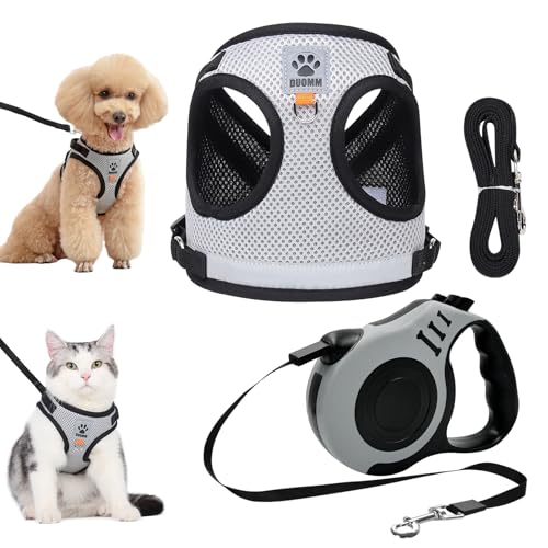 GOEDCH Set Guinzaglio e Pettorina per Gatti: Guinzaglio Retrattile Automatico da 5 m, Grigia Pettorina Antifuga Traspirante per Cuccioli (S)