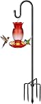 COCONUT 62" Crochets de bergers pour l'extérieur, Oiseaux Pôle avec 5 Pong Base, Crochet de bergers de hauteur réglable pour les colibris, Bird Feeder, Plante légère, Chimes de vent, Lanternes (1 Boîte)