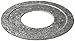 American Fittings Corp RW250200 2-1/2" x 2" Reducing Washer