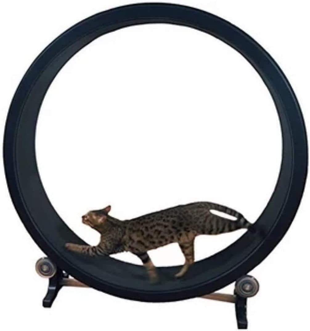 Cinta de Correr para Perros Rueda de Ejercicio para Gatos, Marco de Escalada para Gatos, Rodillo de Juguete para Gatos, Cinta de Correr para Gatos, Dispositivo