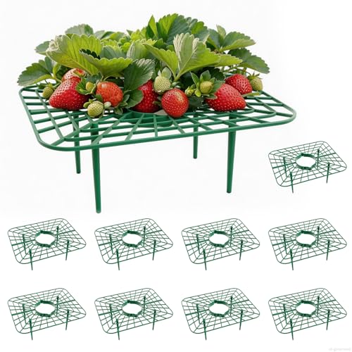 AWUREYIT 10 Pack Plastic Strawberry Plant Support Stands Garden Wire-Style Frames for Raised Beds and Pots Lightweight Stake Holders for Flower and Vegetable Plants Outdoor and Indoor Gardening