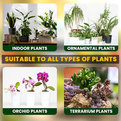 Image of Garden Genie Wood Charcoal for Plants 1 Kg| Horticultural Charcoal for Orchid Potting, Terrariums Plants Etc | Multipurpose Use for Havan, BBQ, Cooking, Pooja Dhoop & Gardening
