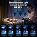 Jellyfish Lamp, 18LED 7-Color Changing Light with 5 Levels Brightness Jellyfish Aquarium fish lamp Home decor, children's birthday gift, men's and women's holiday gift, relaxing mood atmosphere