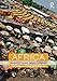 Africa: Diversity and Development
