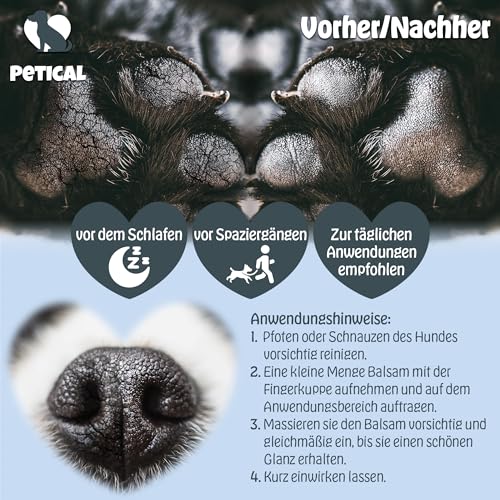 Petical Pfoten und Nasenbalsam für Hunde I natürlich, pflegendes Balsam für gesunde Pfoten & Nase, Pfotenpflege Hundepfoten-Balsam Pfotenbalsam Paw Cleaner Salbe Creme