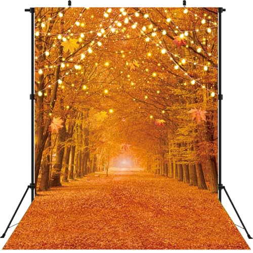 Paysage de forêt d'automne imprimé sur une grande toile de décoration