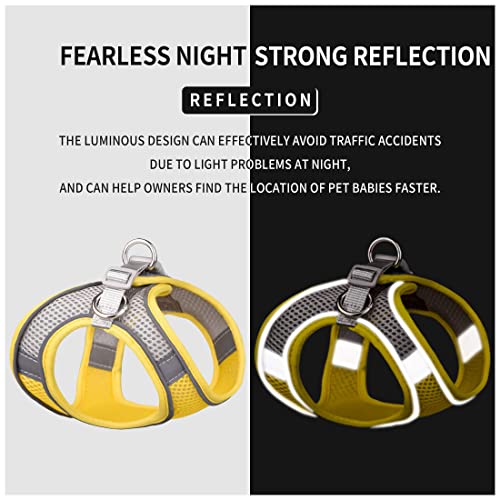 Hpethf Dog Harness For Small Dogs Leashes Set,Soft No Pull Adjustable Breathable Mesh Leash And Harness Vest Belt For Puppy,Small,Medium Dogs And Cats.（Yg-Xs） #TOP2