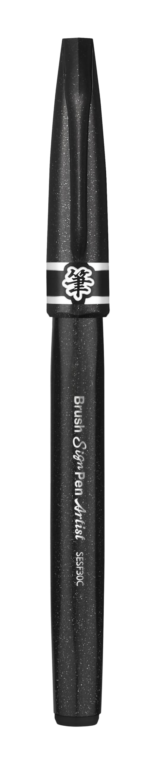Pentel Arts Brush Sign Pen Artist SESF30C-AX, Lot de 12 Feutres pinceaux Pointe souple extra-fine, Noir