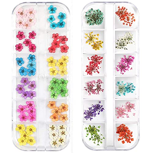 LPOne 2 Boxes 3D Nail Mini Dried Flowers Sticker Nail Art Resin Craft DIY,Real Natural Dried Flowers, Five Petal Flower Leaf Gypsophila Dry Flower Nail Art Decoration Kits., Box 5.12 x 1.97 inches