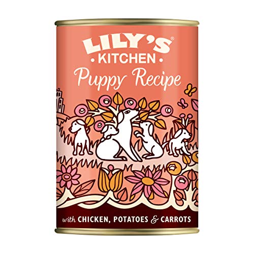 Lily's Kitchen 91961 Hond Puppy Recept Kip 400g