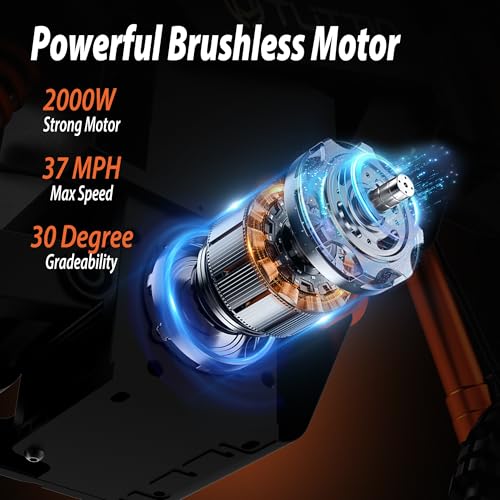 Electric Dirt Bike Teens Adults Electric Bike 48V 21AH Removable Battery with Hydraulic Brakes (21AH Dirt Bike)