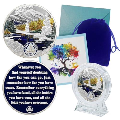 churyuml 1 month sobriety coin 30 day sobriety chip one month aa coins recovery medallions sobriety gifts for men women sober token alcoholics anonymous gift with capsule display amp card