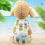 Haustier Paulclub Pet Frucht-Druck-T-Shirt Welpen-Hundekatze-Nette Frucht Rock, Größe: XS (Vest-Ananas) (Color : Vest-Pineapple)