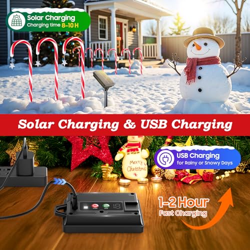 Amazon – KELME 12-Pack Solar Candy Cane Christmas Lights - image 2