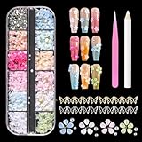 Tastetreasure Kit de 2000 gemas y dijes para arte de uñas, pétalos de flores 3D, cuentas de caviar doradas y plateadas y diamantes de imitación para decoración de uñas, juego profesional con bolígrafo