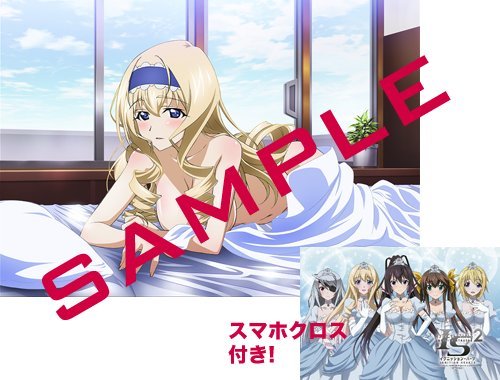 Amazon.co.jp: IS＜インフィニット・ストラトス＞2