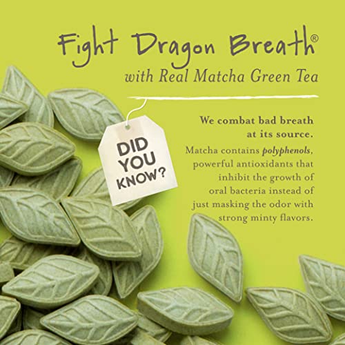 Sencha Naturals 73637 Sen Cha Naturals Green Tea Mints, Sugar-Free Breath Mints, Made With Organic Japanese Matcha Green Tea, Gluten-Free, Sugar-Free, Vegan & Keto-Friendly Mints thumb #4