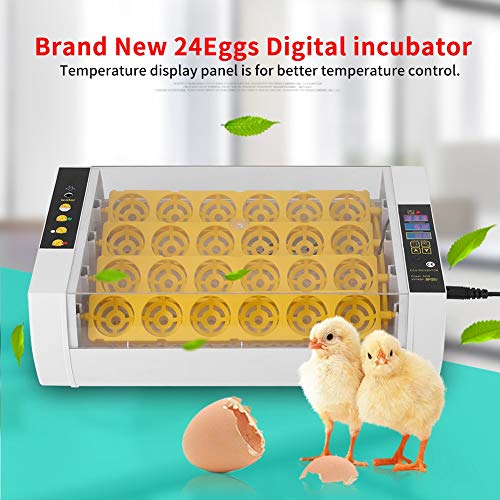 Redxiao Digital Automatic Egg Incubator, 24 Eggs Humidity & Temperature Display Panel With Separated Sinks For Hatching Chicken Duck Quail Poultry And Birds Eggs #TOP2